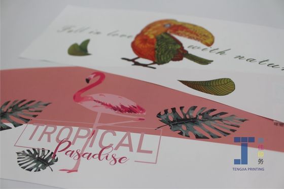 Impression numérique IML Étiquettes en forme pour panier en plastique panier de fruits grande taille